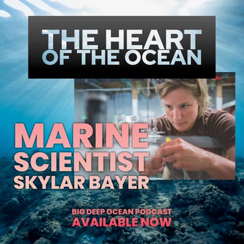 The Heart of the Ocean: Skylar Bayer on how discovering that she could no longer scuba dive started a remarkable journey to the bottom of the ocean
