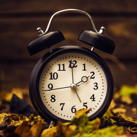 It’s The Little Things: Working to 103 and Loving It!