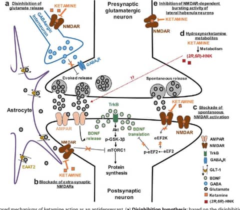 Unveiling the Mystery: The Intricate Journey of Ketamine from Lab to Clinic