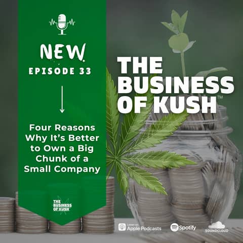 Four Reasons Why It’s Better to Own a Big Chunk of a Small Company