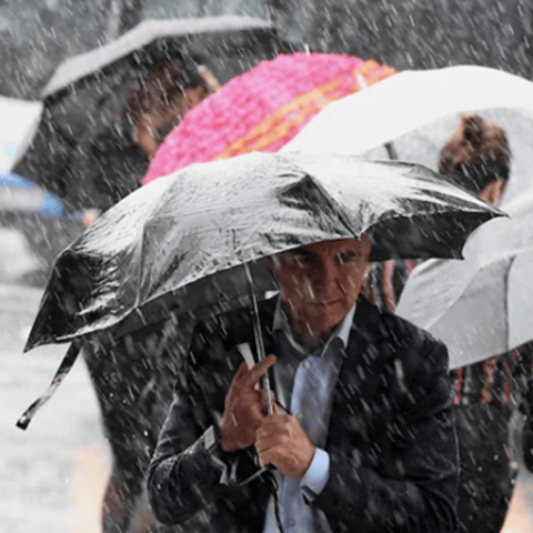 The Next Flood May Not Be Kind: New York’s Climate Reckoning