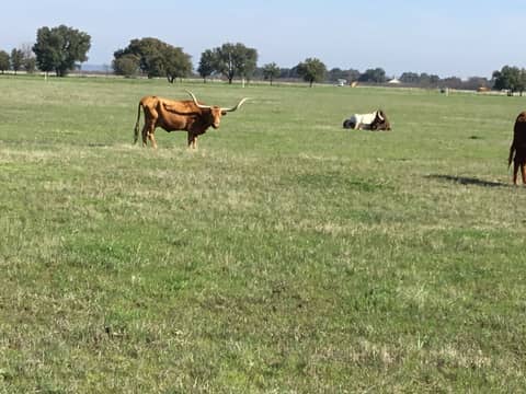 What I Found On My Way To Church