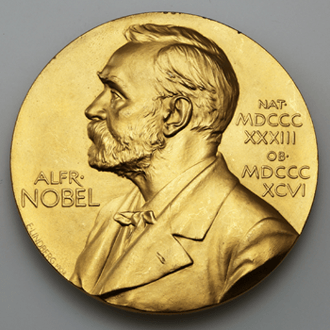 Is the Nobel Prize Broken?
