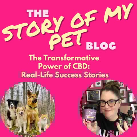 The Transformative Power of CBD: Real-Life Success Stories