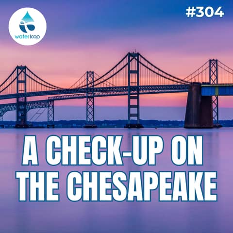 A Check-Up On The Chesapeake: How Is Health Of The Bay?