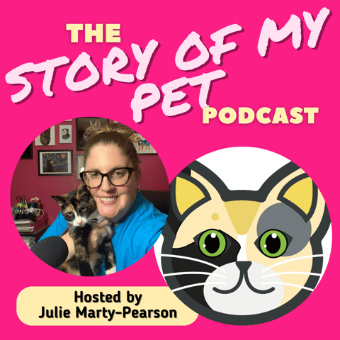 The Powerful Impact of Cat Fostering: Heartfelt Stories of Kitten Rescue