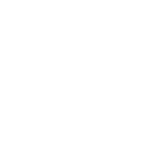 The Flow Logo