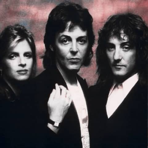 Ronald McDonald Weasley (Book 7, Chapter 15)