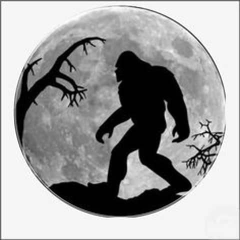 CRYPTIDS, UFO, UAP, BIGFOOT & MORE