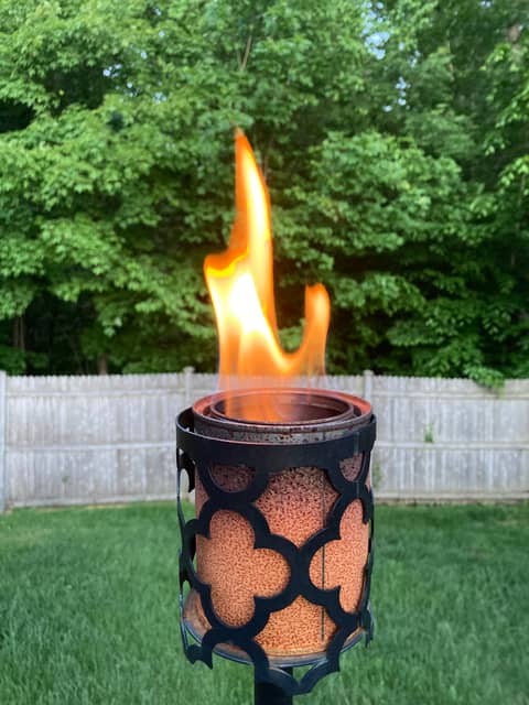 Why Am I So Favored?