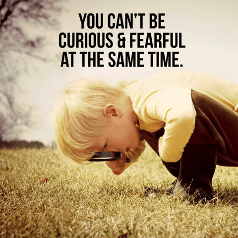 The Power of Curiosity in Sales: A Guide to Productive Persistence