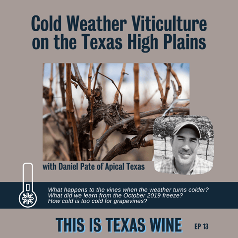 Cold Weather Viticulture with Daniel Pate of Apical Texas