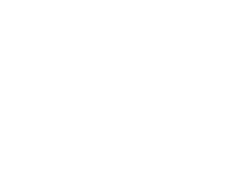 The Flow Logo