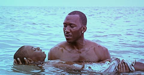 Moonlight & Disenchantment