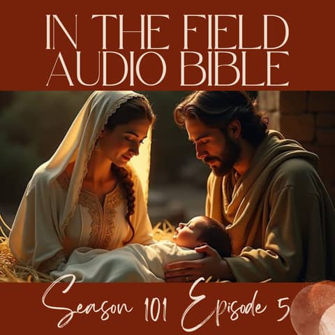 The Magi's Journey: Prophecy, Protection, and the Light of Christ The Magi's Journey: Prophecy, Protection, and the Light of Christ