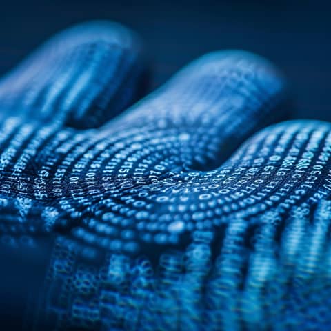 2024's Employment Background Check Landscape