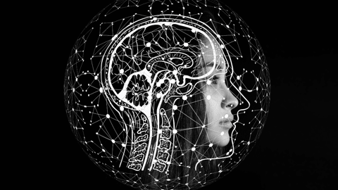 The Importance of Neuroplasticity in Business Innovation The Importance of Neuroplasticity in Business Innovation