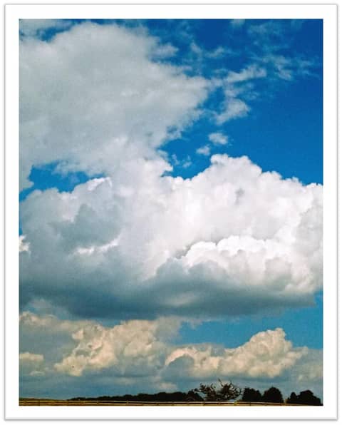 Beside a young willow (in a thunderstorm)