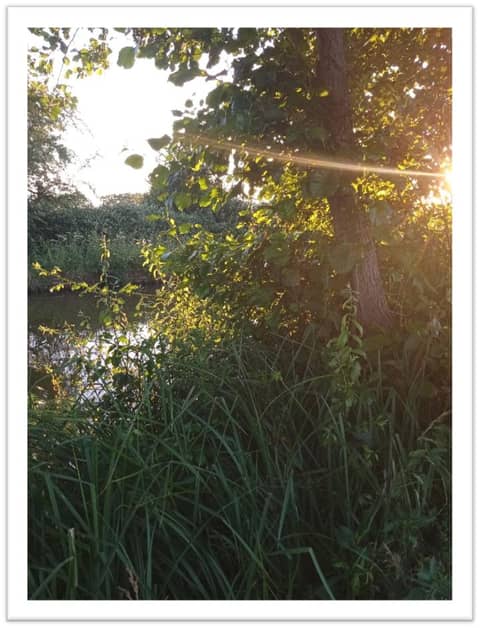 Five Finger Widths (above the horizon)