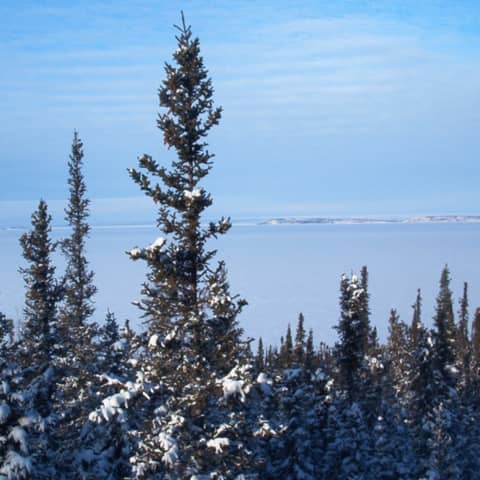 Awakening in the Northwest Territories