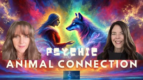 Animal Communication: Strengthening Your Connection to Your Pets with Animal Communicator Heidi Wright