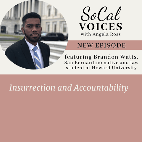 Insurrection and Accountability