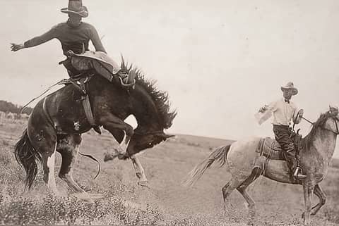 email capture banner email capture banner