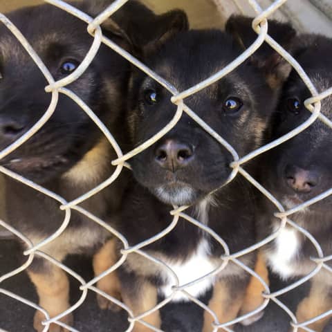 helping others in need