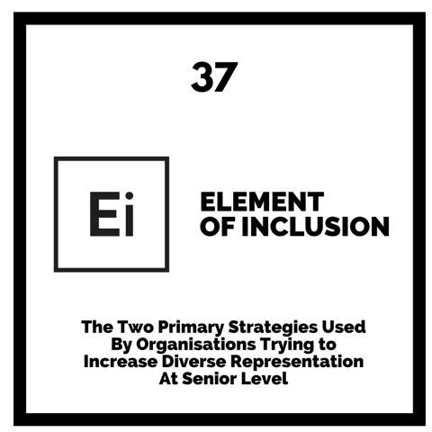 The Two Primary Strategies Used By Organisations Trying to Increase Diverse Representation At Senior Level