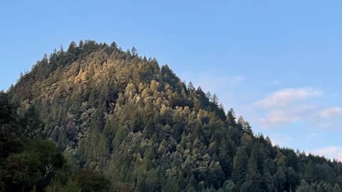 late winter mornings