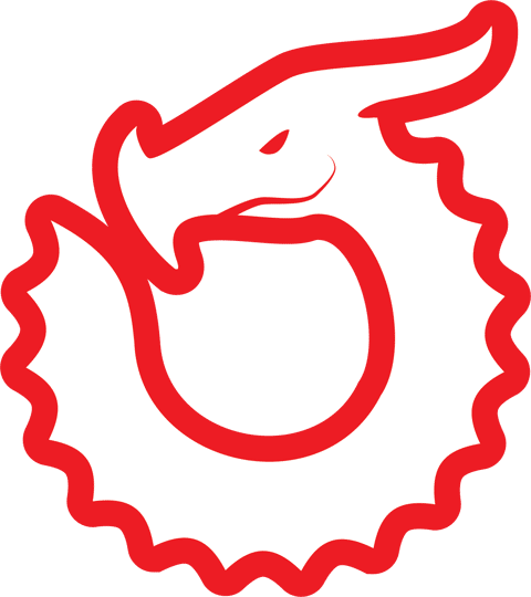 Imagine Dungeons Logo