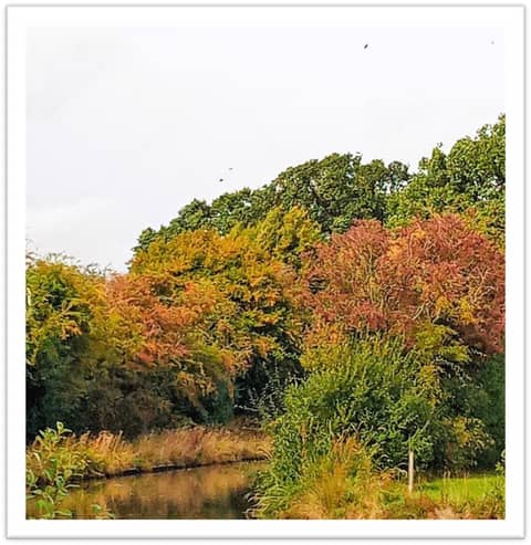 Living in Rehoboam's land