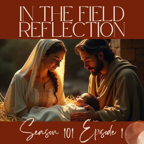 Journey Into the Heart of The Christmas Story