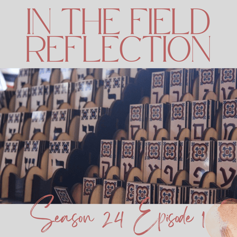 Loyalty Beyond Borders: Ruth's Journey from Moab to Bethlehem