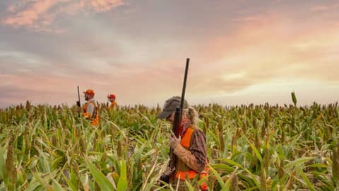 EP. 208 Open to Everyone: The Great Tradition of Pheasant Hunting in South Dakota and Getting More Women Involved