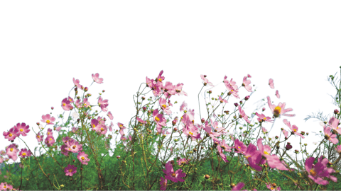 How can parents help their kids avoid injury and keep their kids safe?