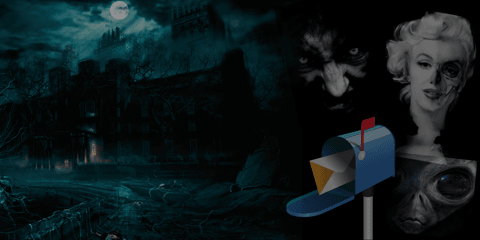 email capture banner