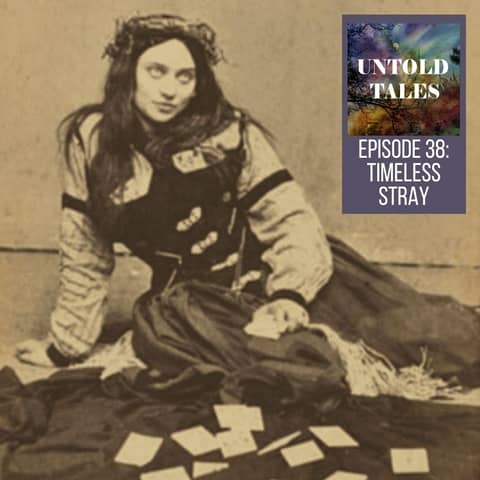 Episode 38: Timeless Stray