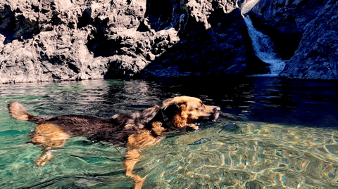 July Newsletter - Tuning in to the rhythms of nature & counting backwards for sleep