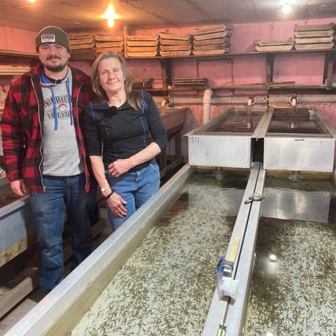 Beaverkill Trout Hatchery: Farming Trout for 5 Generations