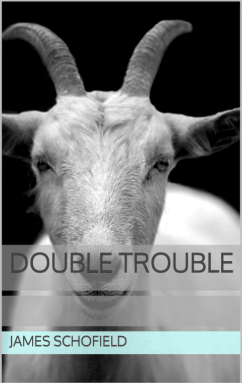 Double Trouble - eBook