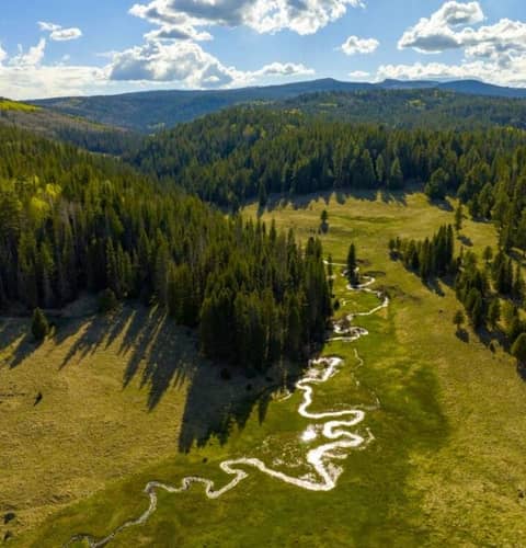 Public Lands on the Line with Chris Wood, CEO of Trout Unlimited