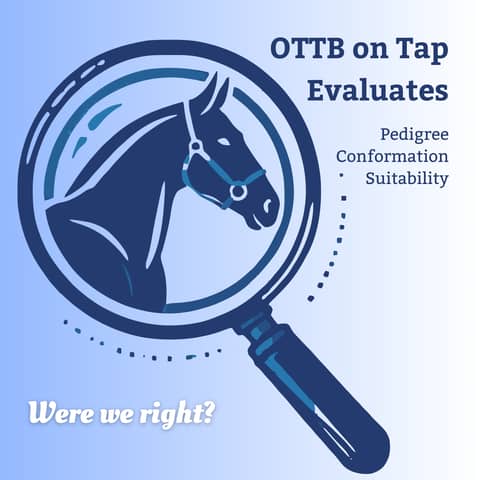 Were We Right? Owners Respond to Our OTTB Evaluations – Vol. 3