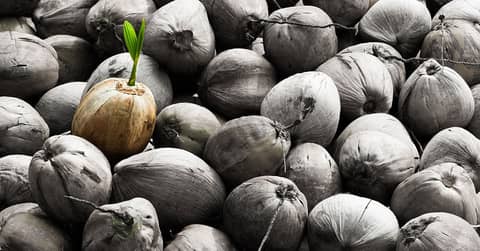 Differentiate or Die: Navigating the Landscape of Higher Education