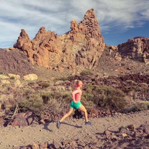 A Closer Look at GI & Muscle Helper's Nutritional Power