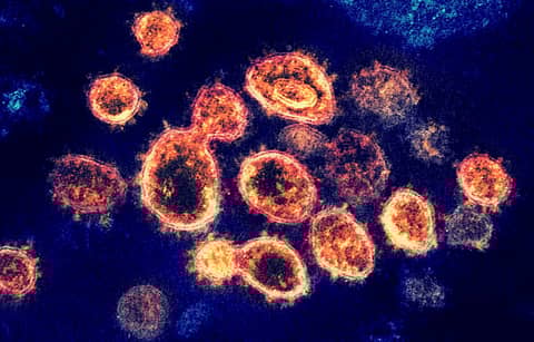 Great Barrington Declaration Great Barrington Declaration