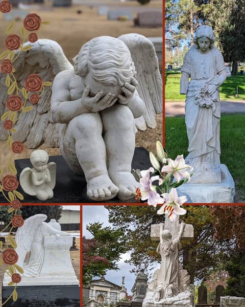 Episode 235 - The Weight of Loss: Navigating Grief and Finding Peace