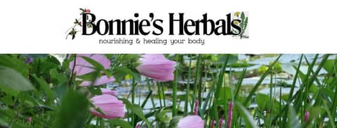 Herbal Remedies, Alkaline Water, and Toxin Reduction: Key Pillars of Bonnie Rogers' Wellness Programs
