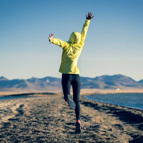 Functional Mushrooms Maitake and Cordyceps for Immune Health and Vitality