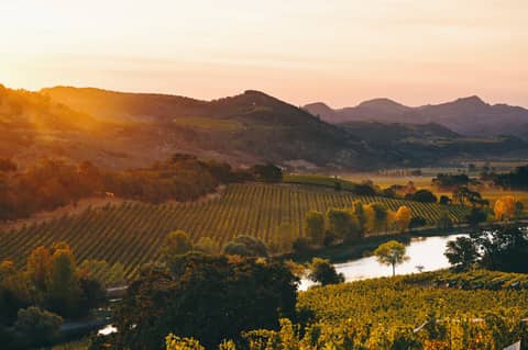 Navigating La Place w/ Rebekah Wineburg & Diego Garay, Quintessa